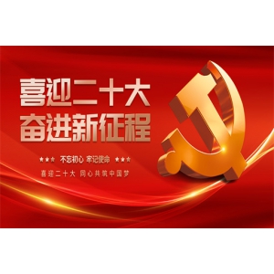 党和国家领导人当选党的二十大代表纪实